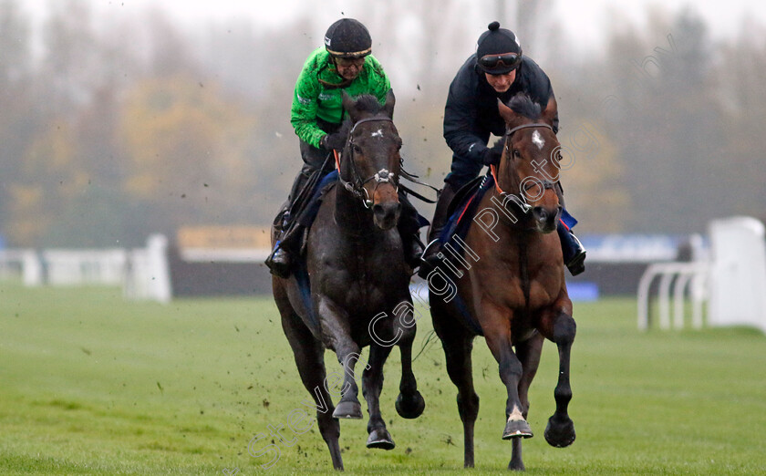 Constitution-Hill-and-Sir-Gino-0002 
 CONSTITUTION HILL (left, Nico de Boinville) with SIR GINO (right, James Bowen)
Coral Gold Cup gallops morning Newbury 19 Nov 20234 - Pic Steven Cargill / Racingfotos.com