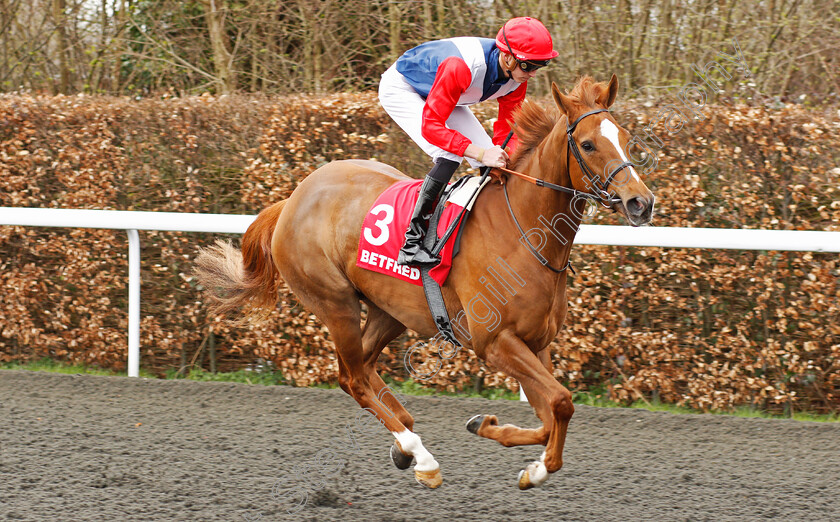 La-Figlia-0001 
 LA FIGLIA (James Doyle) Kempton 7 Apr 2018 - Pic Steven Cargill / Racingfotos.com