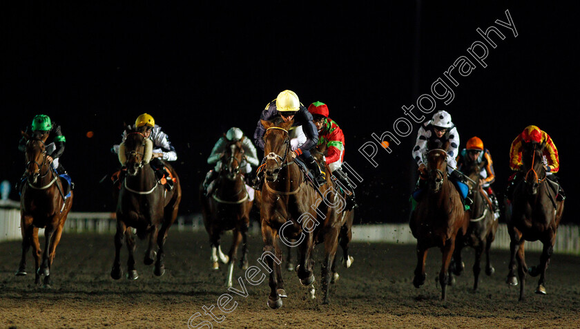 Ply-0003 
 PLY (Kieran Shoemark) wins The 100% Profit Boost At 32Redsport.com Handicap Kempton 4 Oct 2017 - Pic Steven Cargill / Racingfotos.com