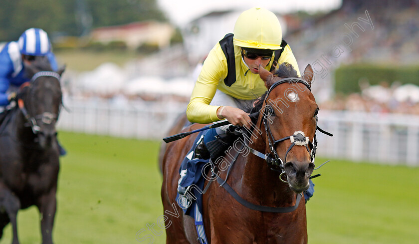 Jadoomi-0001 
 JADOOMI (William Buick) wins The William Hill Celebration Mile
Goodwood 27 Aug 2022 - Pic Steven Cargill / Racingfotos.com