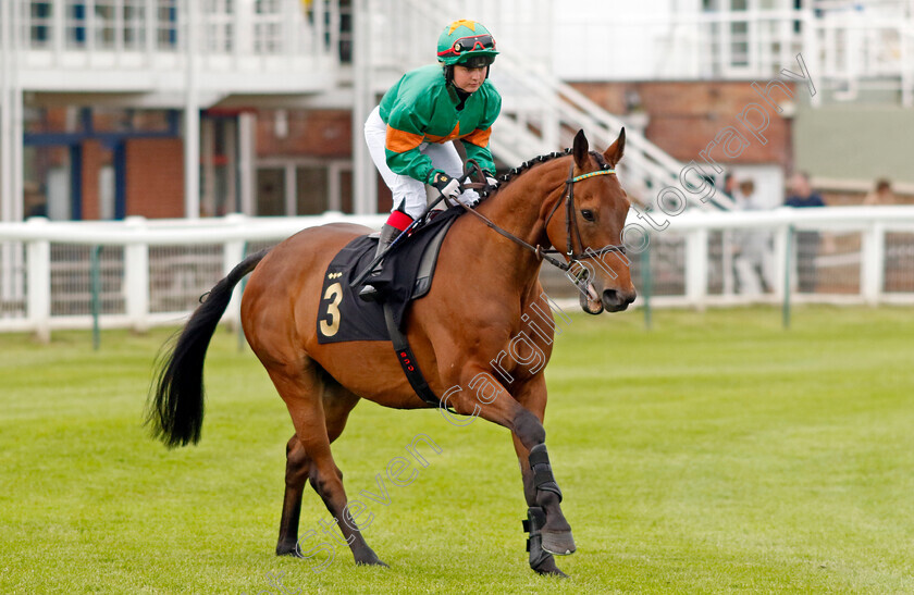 With-A-Start-0002 
 WITH A START (Mia Nicholls) 
Nottingham 30 May 2023 - Pic Steven Cargill / Racingfotos.com