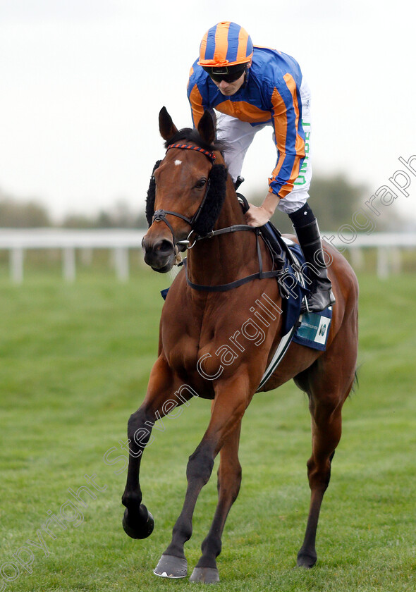 Alwaysandforever-0001 
 ALWAYSANDFOREVER (Jamie Spencer)
Bath 17 Oct 2018 - Pic Steven Cargill / Racingfotos.com