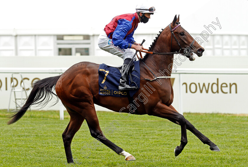 Korker-0001 
 KORKER (Clifford Lee)
Ascot 17 Jun 2021 - Pic Steven Cargill / Racingfotos.com