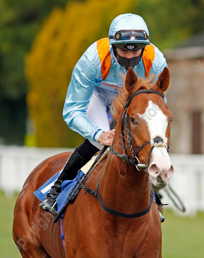 The-Rosstafarian-0001 
 THE ROSSTAFARIAN (James Doyle) winner of The PKF Francis Clark British EBF Novice Stakes Div2
Salisbury 1 Oct 2020 - Pic Steven Cargill / Racingfotos.com