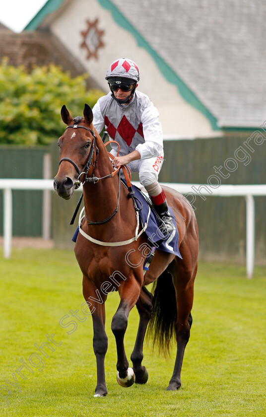 High-Applause-0001 
 HIGH APPLAUSE (Franny Norton)
Yarmouth 22 Jul 2020 - Pic Steven Cargill / Racingfotos.com