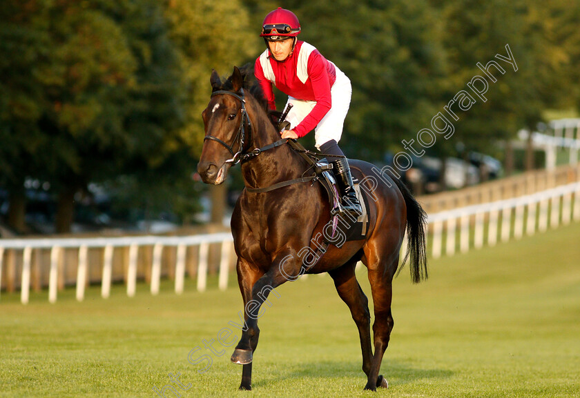 Magical-Rhythms-0001 
 MAGICAL RHYTHMS (Nicky Mackay)
Newmarket 28 Jun 2019 - Pic Steven Cargill / Racingfotos.com