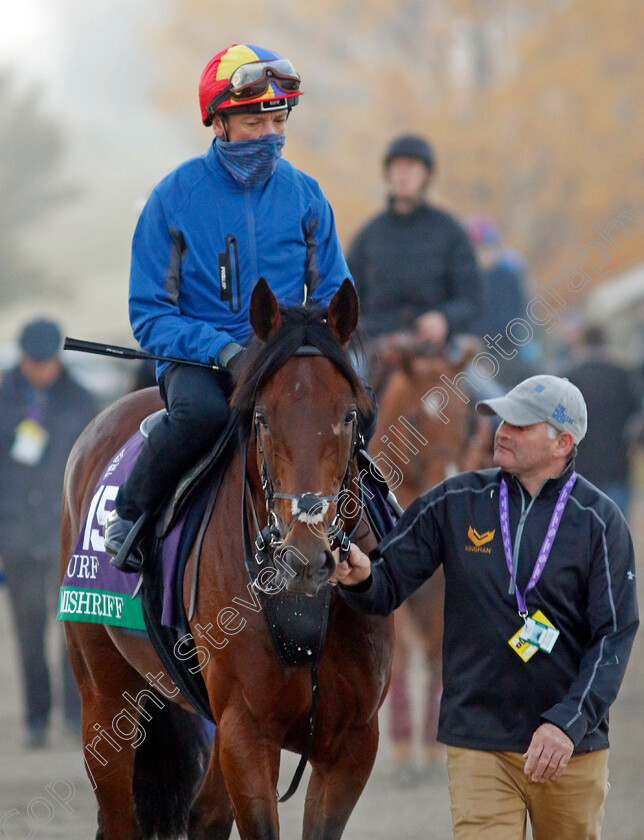 Mishriff-0008 
 MISHRIFF (Frankie Dettori) training for the Breeders' Cup Turf
Keeneland USA 3 Nov 2022 - Pic Steven Cargill / Racingfotos.com