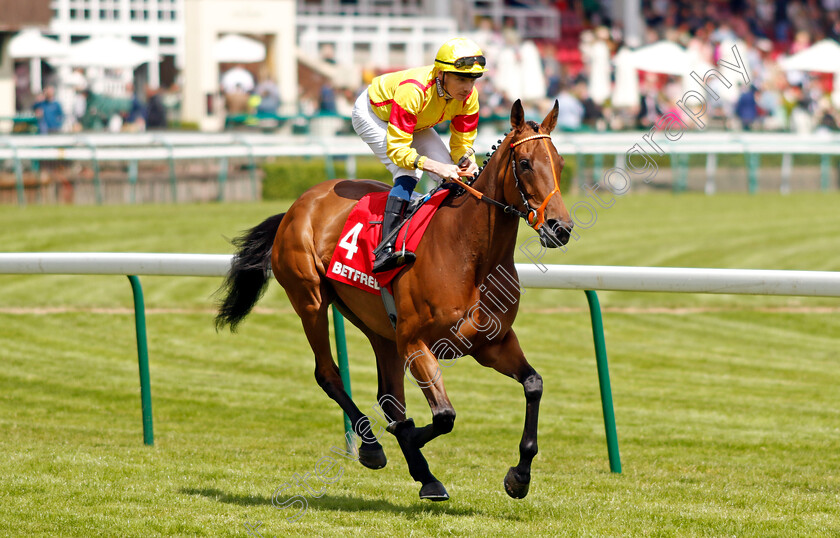 Divina-Grace-0001 
 DIVINA GRACE (Callum Shepherd)
Haydock 8 Jun 2024 - Pic Steven Cargill / Racingfotos.com