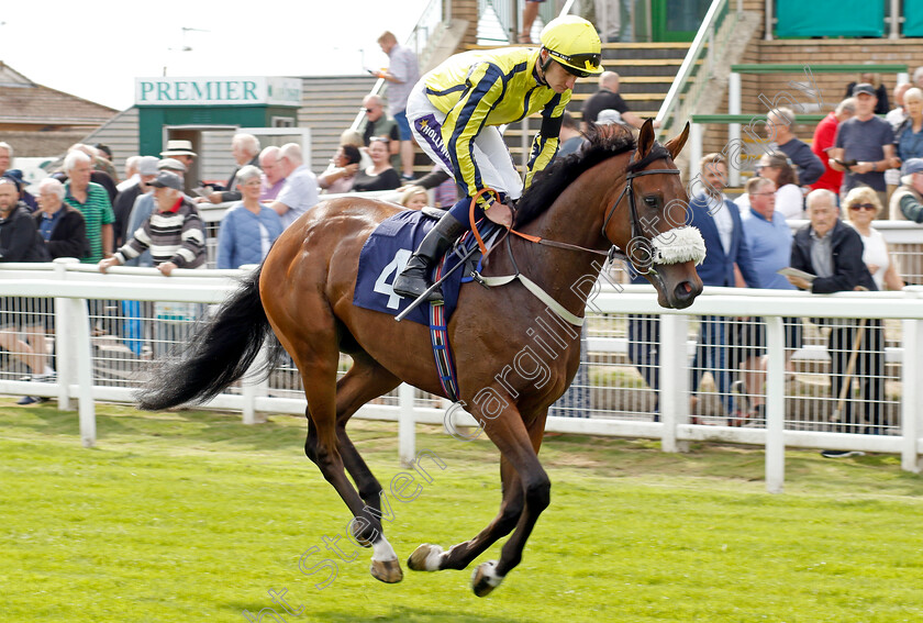 Dicko-The-Legend-0001 
 DICKO THE LEGEND (Daniel Muscutt)
Yarmouth 13 Sep 2022 - Pic Steven Cargill / Racingfotos.com