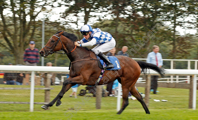 Clairette-0003 
 CLAIRETTE (Kieran Shoemark) wins The British EBF Quidhampton Maiden Fillies Stakes Div2 Salisbury 7 Sep 2017 - Pic Steven Cargill / Racingfotos.com