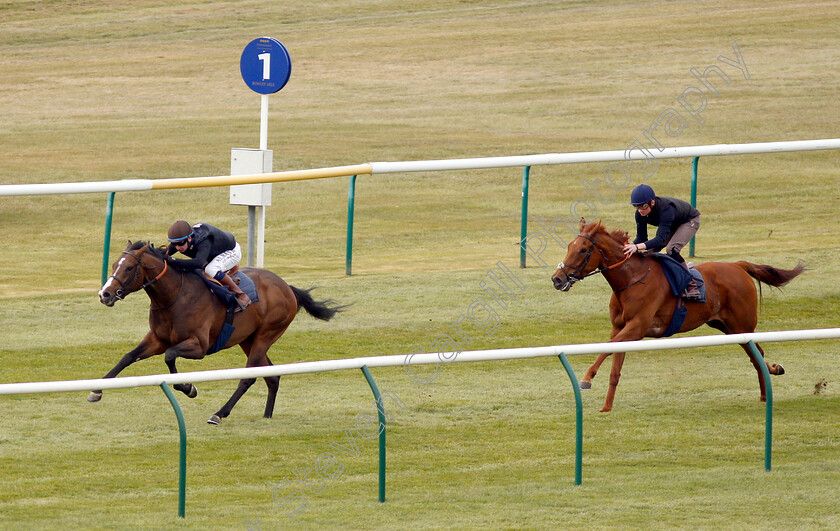 Advertise-0001 
 ADVERTISE (Oisin Murphy) in racecourse gallop
Newmarket 16 Apr 2019 - Pic Steven Cargill / Racingfotos.com