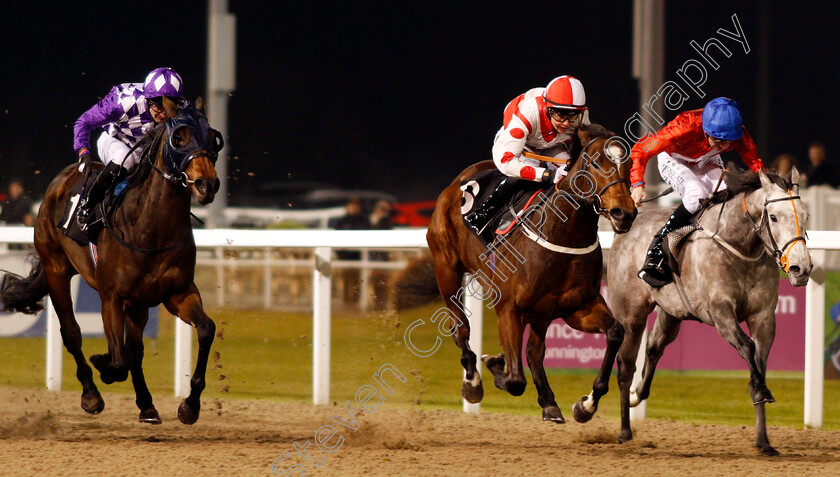 Lady-Willpower-0001 
 LADY WILLPOWER (centre, William Cox) beats MOON SONG (right) and THE MUMS (left) in The Bet totequadpot At betfred.com Fillies Novice Stakes Div1 Chelmsford 1 Dec 2017 - Pic Steven Cargill / Racingfotos.com