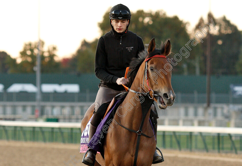 The-Mackem-Bullet-0003 
 THE MACKEM BULLET exercising ahead of The Breeders' Cup Juvenile Fillies Turf
Churchill Downs USA 29 Oct 2018 - Pic Steven Cargill / Racingfotos.com