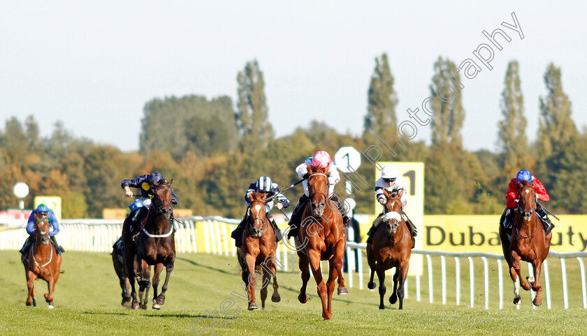 Quadrilateral-0002 
 QUADRILATERAL (Jason Watson) wins The Dubai Duty Free Full Of Surprises British EBF Fillies Conditions Stakes
Newbury 20 Sep 2019 - Pic Steven Cargill / Racingfotos.com