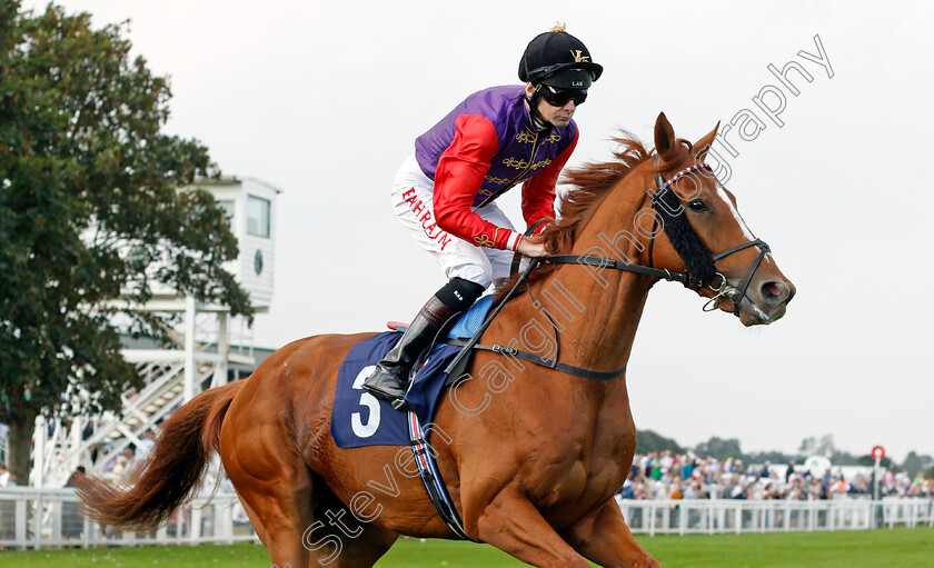 Pied-Piper-0001 
 PIED PIPER (Robert Havlin)
Yarmouth 16 Sep 2021 - Pic Steven Cargill / Racingfotos.com