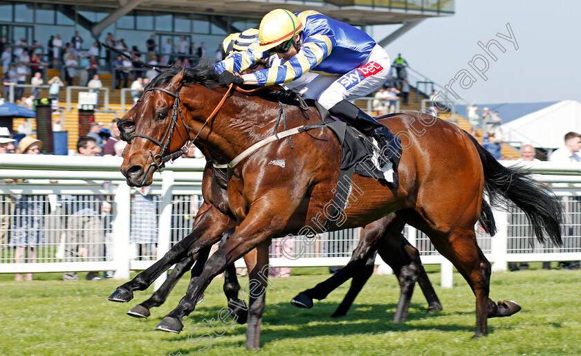 Gracious-John-0003 
 GRACIOUS JOHN (Fran Berry) wins The Dubai Duty Free Handicap Newbury 20 Apr 2018 - Pic Steven Cargill / Racingfotos.com