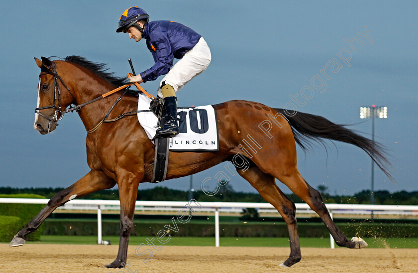 Sendai-0001 
 SENDAI (Shane Foley)
Meydan 2 Feb 2024 - Pic Steven Cargill / Racingfotos.com