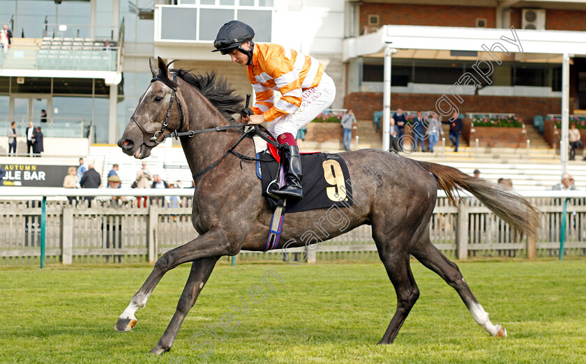 The-Renegade-0002 
 THE RENEGADE (Cieren Fallon)
Newmarket 22 Sep 2022 - Pic Steven Cargill / Racingfotos.com