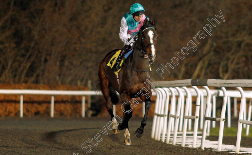 Weekender-0001 
 WEEKENDER (Robert Havlin)
Kempton 4 Dec 2019 - Pic Steven Cargill / Racingfotos.com