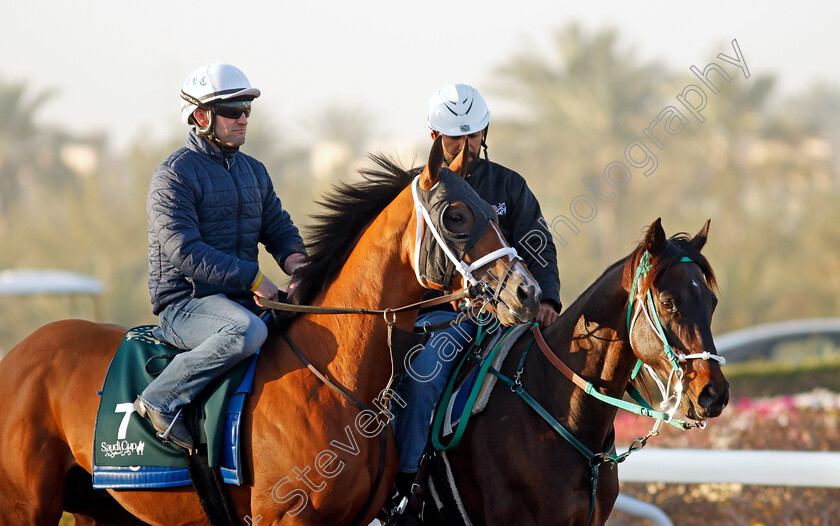 Mandaloun-0003 
 MANDALOUN training for The Saudi Cup
King Abdulaziz Racetrack, Riyadh, Saudi Arabia 22 Feb 2022 - Pic Steven Cargill / Racingfotos.com