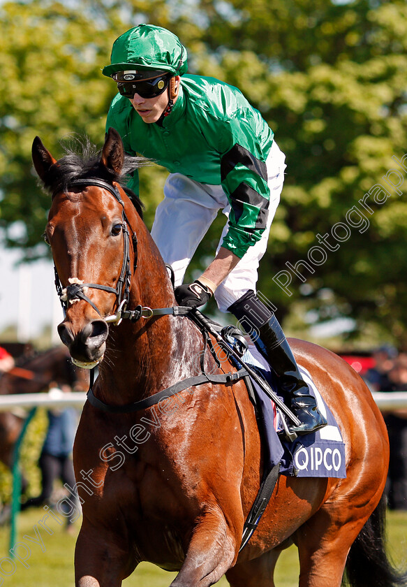 Tricorn-0001 
 TRICORN (James Doyle) Newmarket 5 May 2018 - Pic Steven Cargill / Racingfotos.com