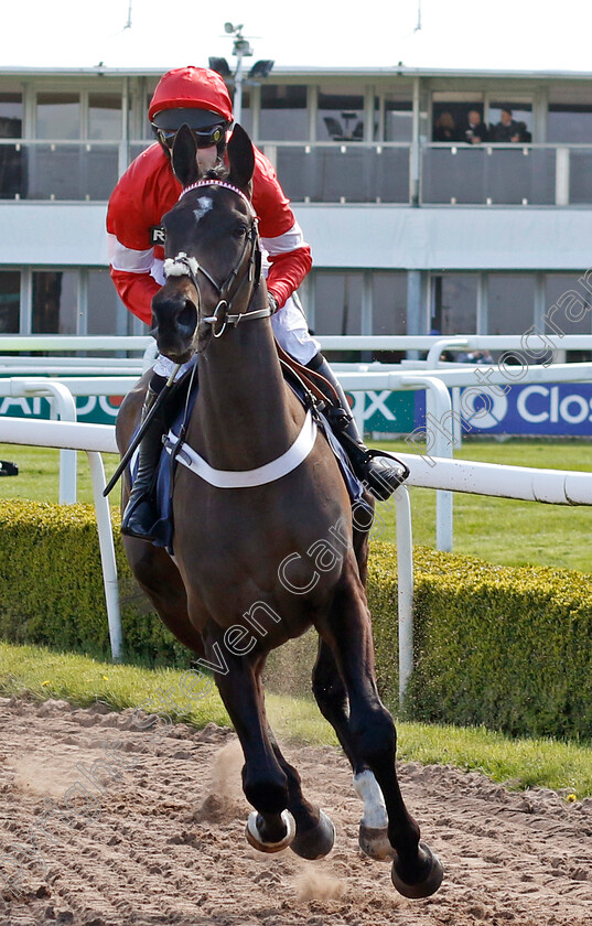 Pawapuri-0001 
 PAWAPURI (Nico de Boinville)
Aintree 13 Apr 2023 - Pic Steven Cargill / Racingfotos.com