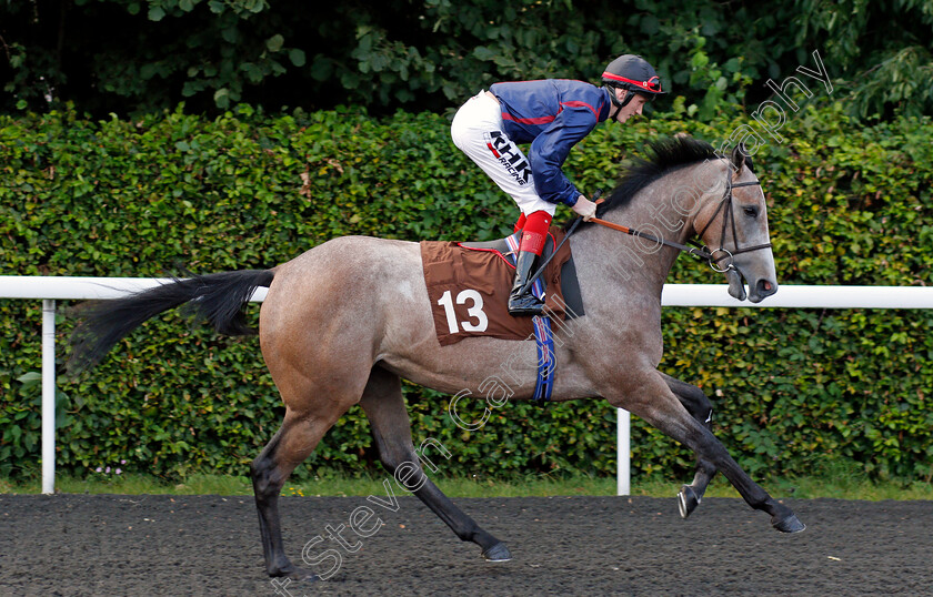 Lyrical-Lady-0001 
 LYRICAL LADY (David Egan)
Kempton 3 Sep 2021 - Pic Steven Cargill / Racingfotos.com