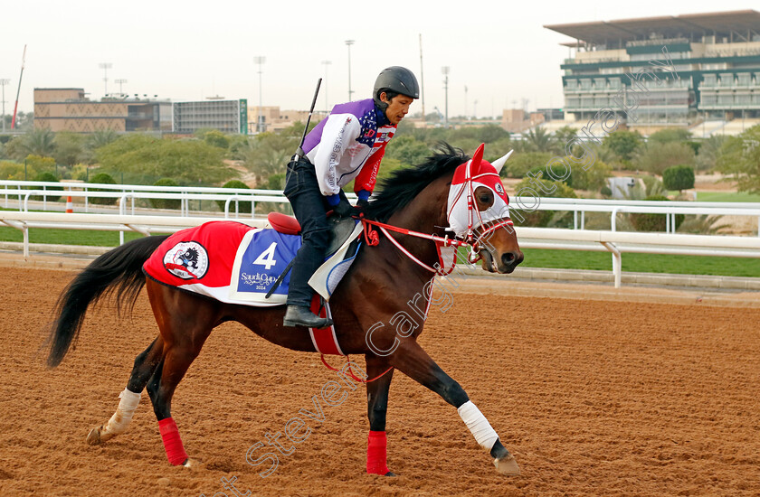 Bathrat-Leon-0001 
 BATHRAT LEON training for The 1351 Turf Sprint
King Abdulaziz Racetrack, Saudi Arabia 22 Feb 2024 - Pic Steven Cargill / Racingfotos.com