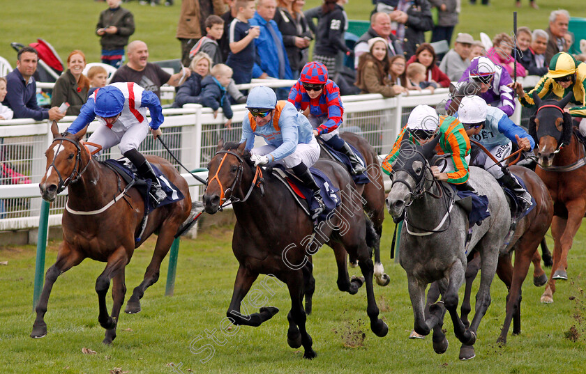 Gangland-0002 
 GANGLAND (right, David Nolan) beats ZABALETASWANSONG (centre) and HAVANA MARIPOSA (left) in The Dennis The Sailor Barrett Nursery Yarmouth 24 Oct 2017 - Pic Steven Cargill / Racingfotos.com