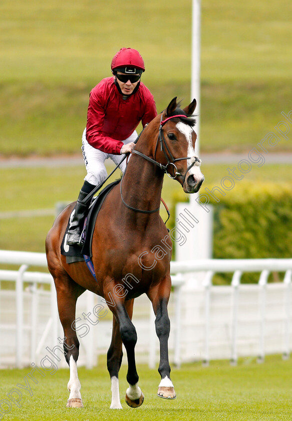 Golden-War-0001 
 GOLDEN WAR (Jamie Spencer)
Goodwood 21 May 2021 - Pic Steven Cargill / Racingfotos.com