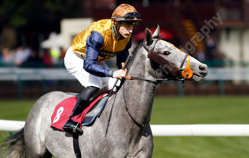 Pedro-Valentino-0004 
 PEDRO VALENTINO (Richard Kingscote) winner of The Betfred Supports Jack Berry House Handicap
Haydock 8 Jun 2024 - Pic Steven Cargill / Racingfotos.com