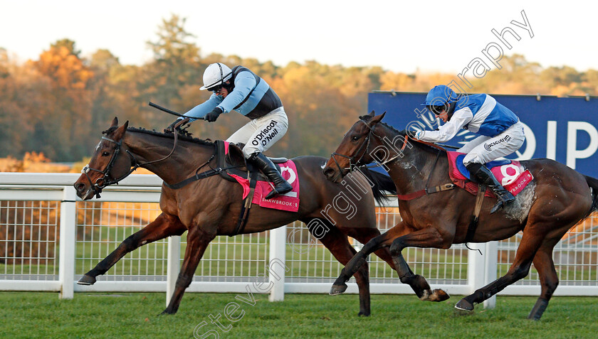 Sir-Valentino-0003 
 SIR VALENTINO (J J Burke) beats CEPAGE (right) in The Shawbrook Handicap Chase Ascot 25 Nov 2017 - Pic Steven Cargill / Racingfotos.com