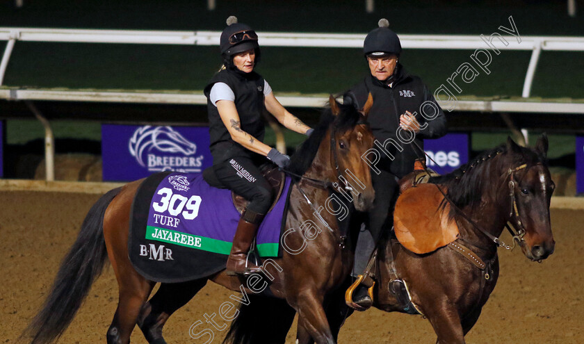 Jayarebe-0001 
 JAYAREBE training for the Breeders' Cup Turf with Brian Meehan
Del Mar USA 30 Oct 2024 - Pic Steven Cargill / Racingfotos.com