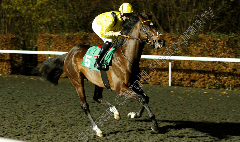 Elamirr-0001 
 ELAMIRR (Jack Mitchell) 
Kempton 12 Dec 2018 - Pic Steven Cargill / Racingfotos.com