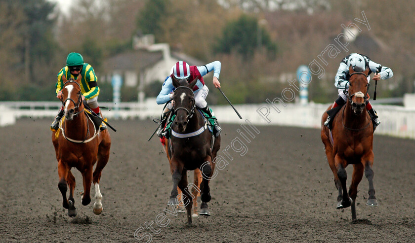 Nortonthorpe-Boy-0006 
 NORTONTHORPE BOY (centre, Luke Morris) beats THUNDER OF NIAGARA (left) and FANGORN (right) in The Play Ladbrokes 5-A-Side Handicap
Kempton 27 Mar 2021 - Pic Steven Cargill / Racingfotos.com