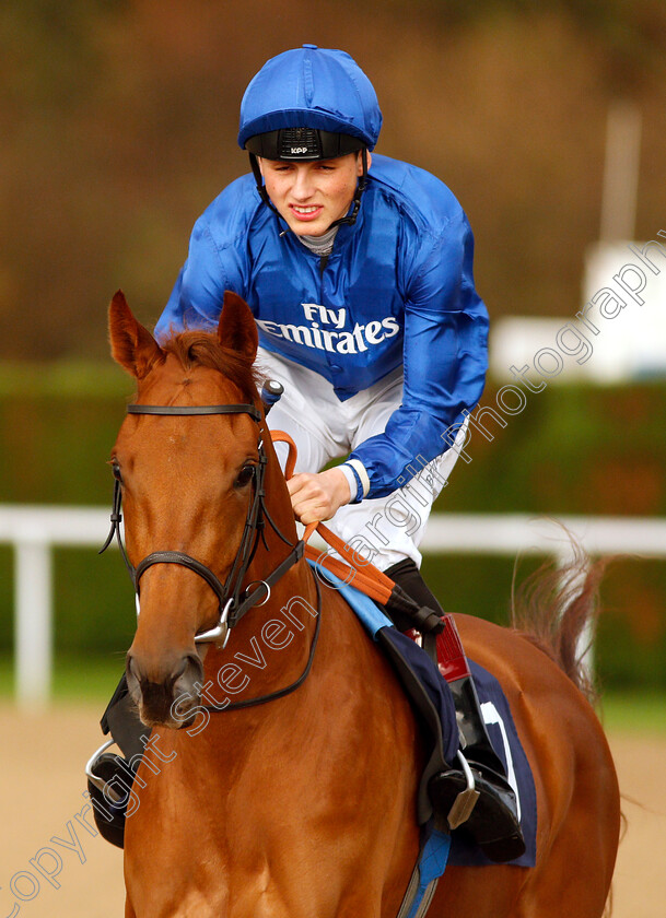 Ophelia s-Dream-0003 
 OPHELIA'S DREAM (George Wood)
Wolverhampton 28 Nov 2018 - Pic Steven Cargill / Racingfotos.com