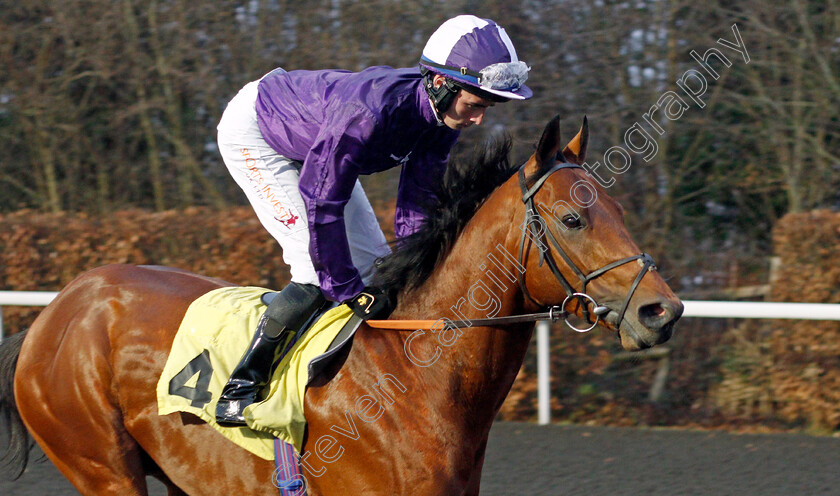 Clase-Azul-Ultra-0003 
 CLASE AZUL ULTRA (Rossa Ryan) winner of The Unibet Horserace Betting Operator of The Year Maiden Stakes
Kempton 16 Feb 2022 - Pic Steven Cargill / Racingfotos.com