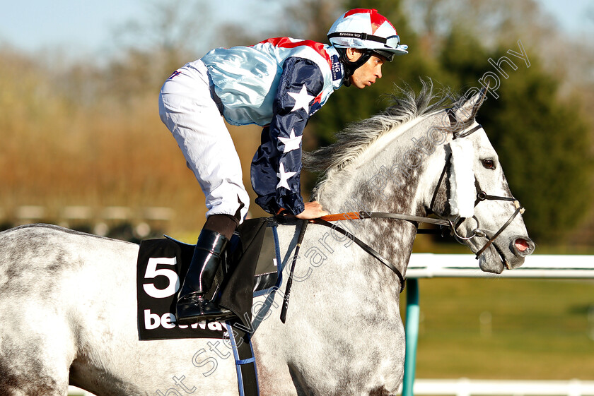 Master-The-World-0003 
 MASTER THE WORLD (Sean Levey)
Lingfield 23 Feb 2019 - Pic Steven Cargill / Racingfotos.com