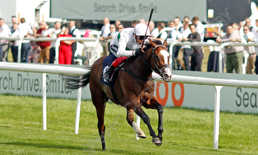 Free-Wind-0002 
 FREE WIND (Frankie Dettori) wins The Hippo Pro3 Park Hill Stakes
Doncaster 9 Sep 2021 - Pic Steven Cargill / Racingfotos.com