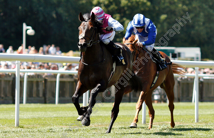 Master-Brewer-0002 
 MASTER BREWER (Hayley Turner) wins The Betway Novice Stakes
Newmarket 30 Jun 2018 - Pic Steven Cargill / Racingfotos.com