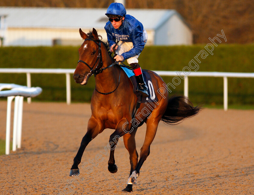 Symbol-Of-Love-0002 
 SYMBOL OF LOVE (Shane Kelly)
Wolverhampton 3 Jan 2020 - Pic Steven Cargill / Racingfotos.com