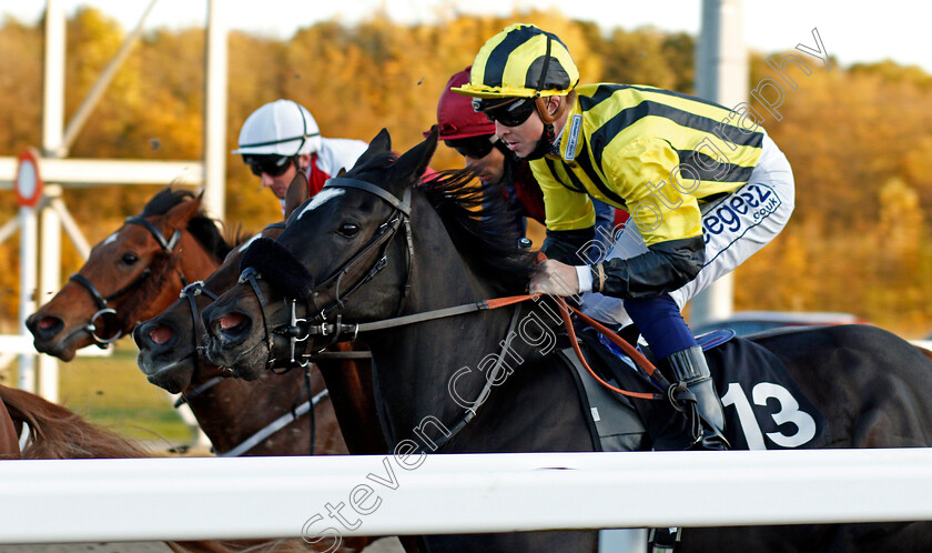 Livia-The-Empress-0008 
 LIVIA THE EMPRESS (David Probert)
Chelmsford 22 Oct 2020 - Pic Steven Cargill / Racingfotos.com