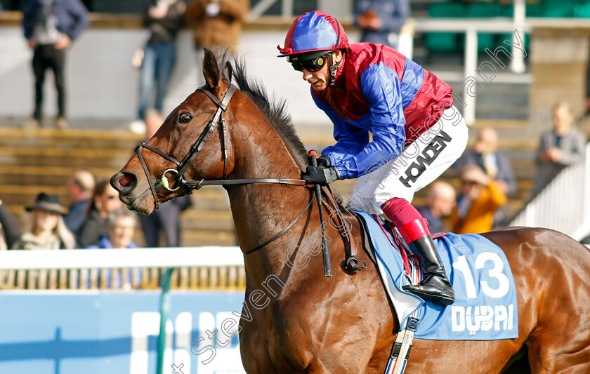 Sweetest-0001 
 SWEETEST (Frankie Dettori)
Newmarket 13 Oct 2023 - Pic Steven Cargill / Racingfotos.com