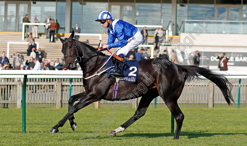 Elarqam-0001 
 ELARQAM (Jim Crowley) before The Tattersalls Stakes Newmarket 28 Sep 2017 - Pic Steven Cargill / Racingfotos.com