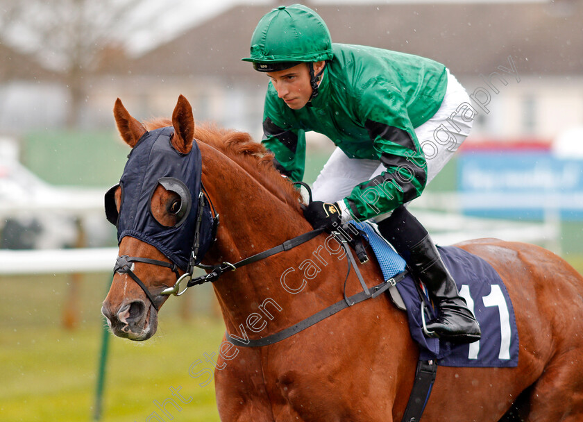 Stylehunter-0002 
 STYLEHUNTER (William Buick) Yarmouth 24 Apr 2018 - Pic Steven Cargill / Racingfotos.com