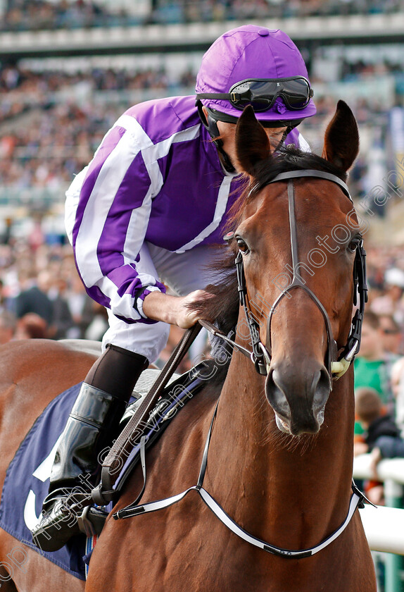 Mendelssohn-0002 
 MENDELSSOHN (Ryan Moore) Doncaster 16 Sep 2017 - Pic Steven Cargill / Racingfotos.com