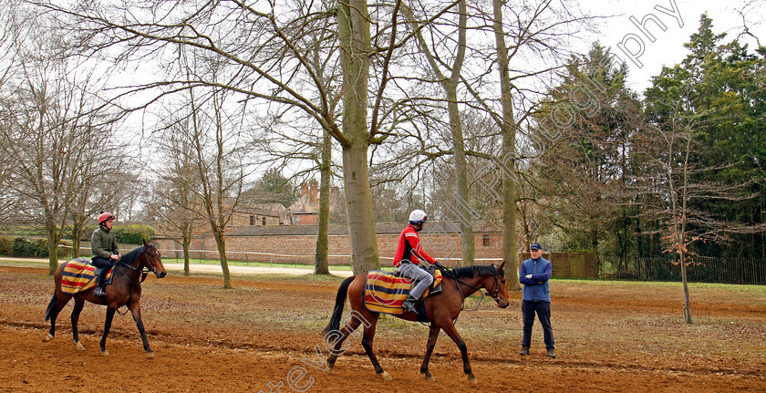 John-Gosden-0008 
 JOHN GOSDEN watches two year olds return from the gallops at Newmarket 23 Mar 2018 - Pic Steven Cargill / Racingfotos.com