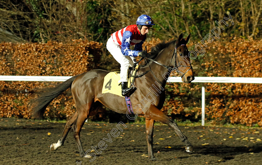 Fouroneohfever-0001 
 FOURONEOHFEVER (William Buick)
Kempton 13 Dec 2023 - Pic Steven Cargill / Racingfotos.com