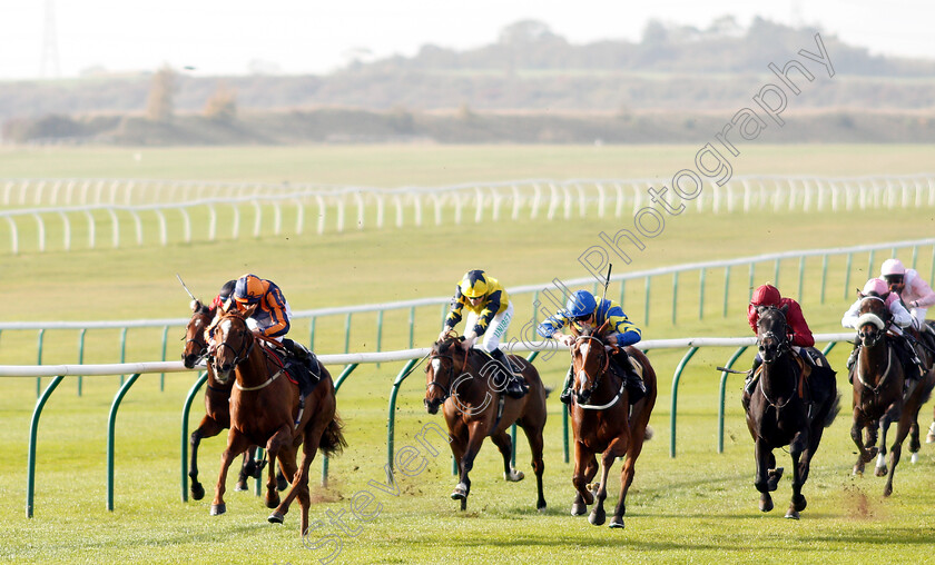 Garrel-Glen-0001 
 GARREL GLEN (Louis Steward) wins The Shepherd Compello & EPG Fillies Novice Median Auction Stakes Div2
Newmarket 24 Oct 2018 - Pic Steven Cargill / Racingfotos.com