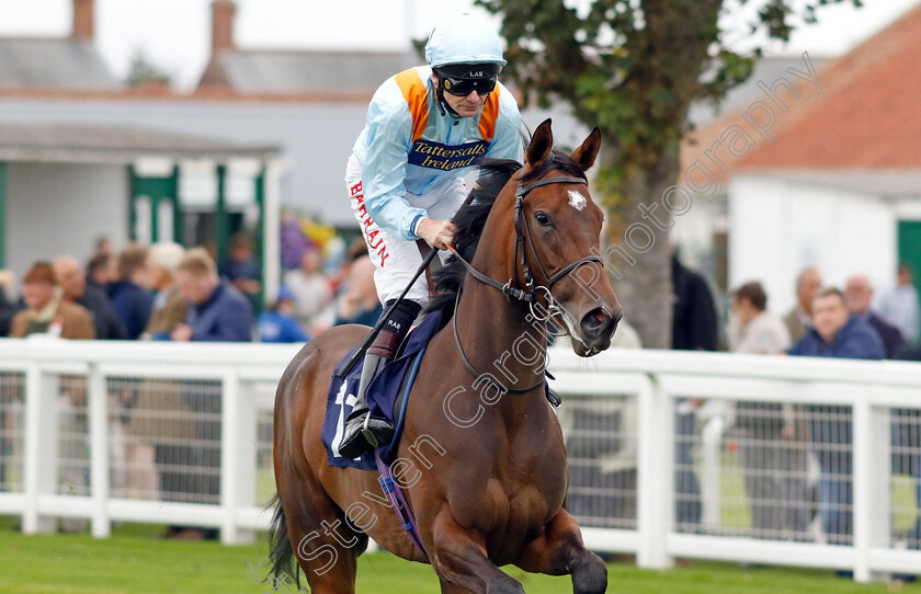 Run-For-The-Sun-0001 
 RUN FOR THE SUN (Robert Havlin)
Yarmouth 20 Sep 2023 - Pic Steven Cargill / Racingfotos.com